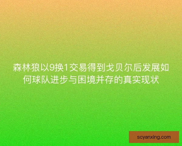 森林狼以9换1交易得到戈贝尔后发展如何球队进步与困境并存的真实现状