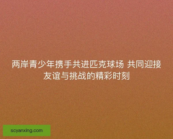 两岸青少年携手共进匹克球场 共同迎接友谊与挑战的精彩时刻