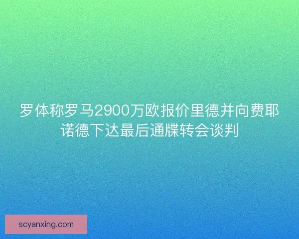 罗体称罗马2900万欧报价里德并向费耶诺德下达最后通牒转会谈判